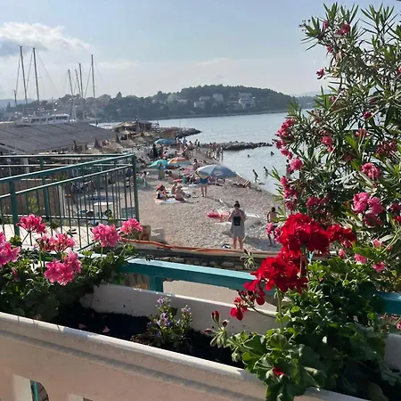 A2 - Prvi Zal * ルンバルダ